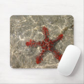 Red Sea Star - Mousepad (Mit Mouse)