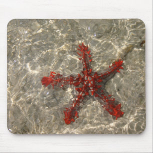 Red Sea Star - Mousepad
