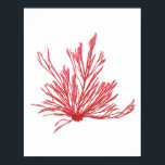 Red Seaweed Art Print No.1 Beach Deco Poster<br><div class="desc">Rote Algen Nr.1 Antike Naturgeschichte Print. Dies ist eine antike Algenillustrierung aus dem 18. Jahrhundert, die digital in brillante Farben wie sie der ursprüngliche Künstler beabsichtigt hatte wiederhergestellt wurde. Bitte stöbern Sie in unserem Shop nach anderen passenden Algendrucken. Wenn sie gerahmt und in einer Gruppe zusammen ausgestellt werden, machen sie...</div>