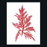 Red Seaweed Art Print No.7 Beach Deco Poster<br><div class="desc">Rote Algen Nr. 7 Antike Naturgeschichte Print. Dies ist eine antike Algenillustrierung aus dem 18. Jahrhundert, die digital in brillante Farben wie sie der ursprüngliche Künstler beabsichtigt hatte wiederhergestellt wurde. Bitte stöbern Sie in unserem Shop nach anderen passenden Algendrucken. Wenn sie gerahmt und in einer Gruppe zusammen ausgestellt werden, machen...</div>