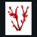Red Seaweed Art Print No.8 Beach Deco Poster<br><div class="desc">Rote Algen Nr. 8 Antike Naturgeschichte Print. Dies ist eine antike Algenillustrierung aus dem 18. Jahrhundert, die digital in brillante Farben wie sie der ursprüngliche Künstler beabsichtigt hatte wiederhergestellt wurde. Bitte stöbern Sie in unserem Shop nach anderen passenden Algendrucken. Wenn sie gerahmt und in einer Gruppe zusammen ausgestellt werden, machen...</div>