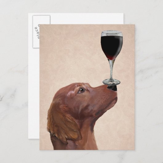 Red Setter Dog Au Vin 2 Postkarte (Vorne/Hinten)