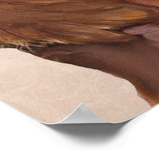 Red Setter Dog Au Vin Poster (Ecke)