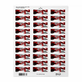 Red Shadows Camouflage (Vorne)