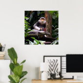 Red Shanked Douc Langur Monkey Poster (Heimbüro)