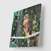 Red-Shouldered Hawk, wir haben Limb Clock Quadratische Wanduhr (Winkel)