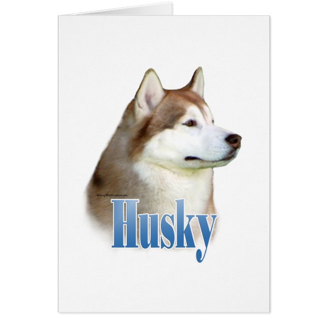 Red Siberian Husky Name (Vorne)