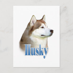 Red Siberian Husky Name Postkarte