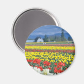 Red Skagit Valley, Mount Rainier, Washington, USA Magnet (Vorderseite/Rückseite)