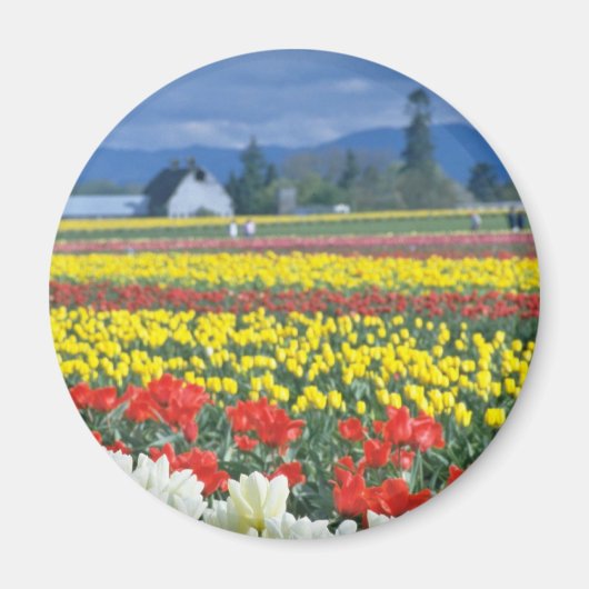 Red Skagit Valley, Mount Rainier, Washington, USA Magnet (Vorne)