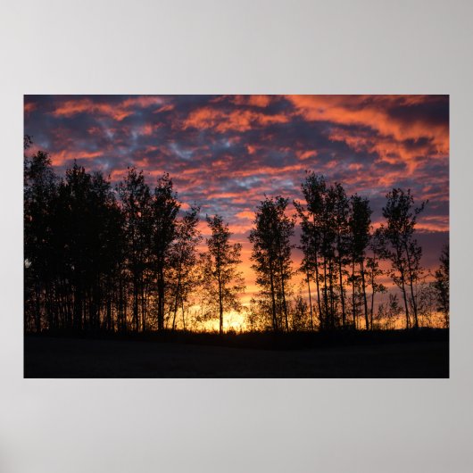 Red Sky in Night Poster (Vorne)