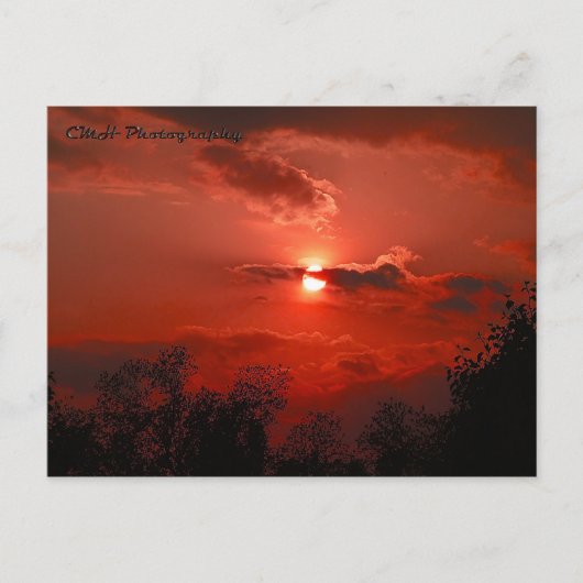 Red Sky Postkarte (Vorderseite)