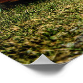 Red Sled Poster (Ecke)