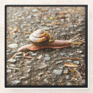 Red Snail Glasuntersetzer