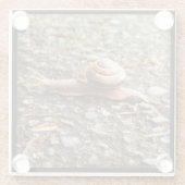 Red Snail Glasuntersetzer (Rückseite)