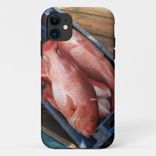 Red Snapper Fish iPhone 5 Case-Mate iPhone Hülle (Rückseite)