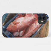 Red Snapper Fish iPhone 5 Case-Mate iPhone Hülle (Rückseite (Horizontal))