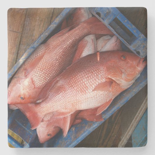 Red Snapper Square Untersetzer (Vorderseite)