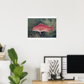 Red Snapper, von "Game Fish the United Staat Poster (Heimbüro)