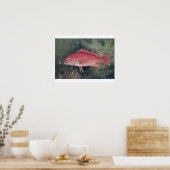 Red Snapper, von "Game Fish the United Staat Poster (Küche)