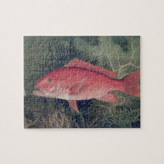 Red Snapper, von "Game Fish the United Staat Puzzle (Horizontal)