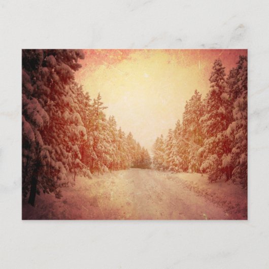 Red Snowy Road, Conifer, CO Postkarte (Vorderseite)