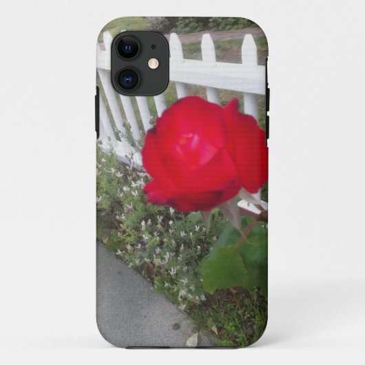 Red Solo Rose Case-Mate iPhone Hülle (Rückseite)
