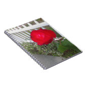 Red Solo Rose Notizblock (Rechte Seite)