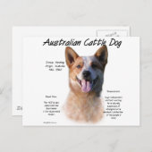 Red Speckle Australian Cattle Dog History Postkarte (Vorne/Hinten)
