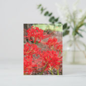 Red Spider Lily:Postcard Postkarte (Stehend Vorderseite)