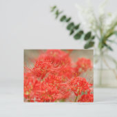 Red Spider Lily:Postcard Postkarte (Stehend Vorderseite)