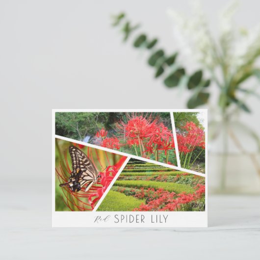 Red Spider Lily Postkarte (Stehend Vorderseite)