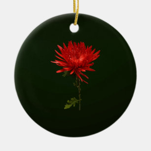 Red Spider Mum Keramik Ornament