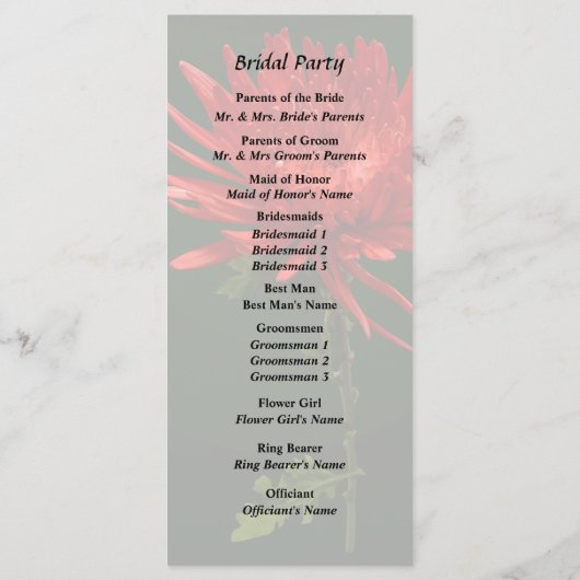 Red Spider Mum Programm (Rückseite)