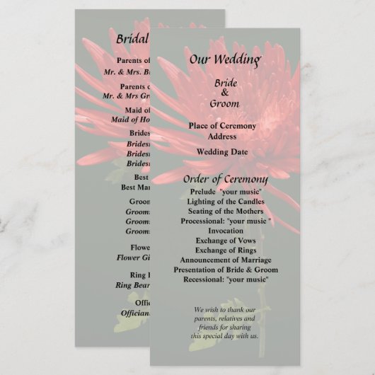 Red Spider Mum Programm (Vorne/Hinten)