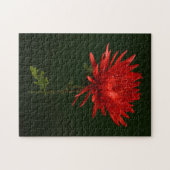Red Spider Mum Puzzle (Horizontal)