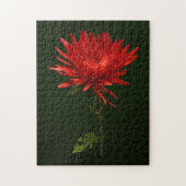 Red Spider Mum Puzzle (Vertikal)