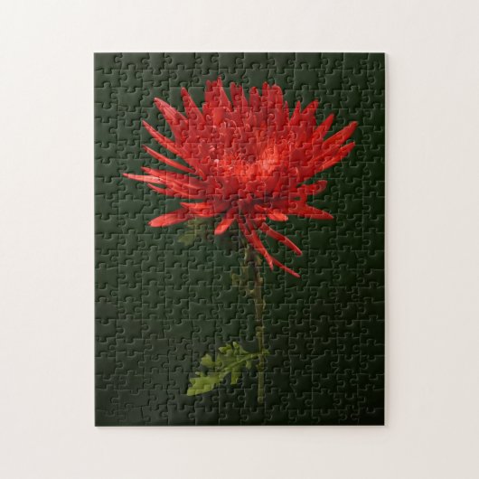 Red Spider Mum Puzzle (Vertikal)