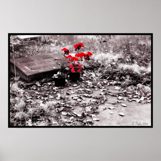 Red Splash Poster (Vorne)