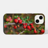 Red Spring Buds iPhone Case Hülle (Rückseite (Horizontal))