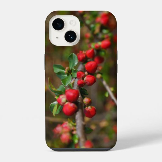 Red Spring Buds iPhone Case Hülle (Rückseite)