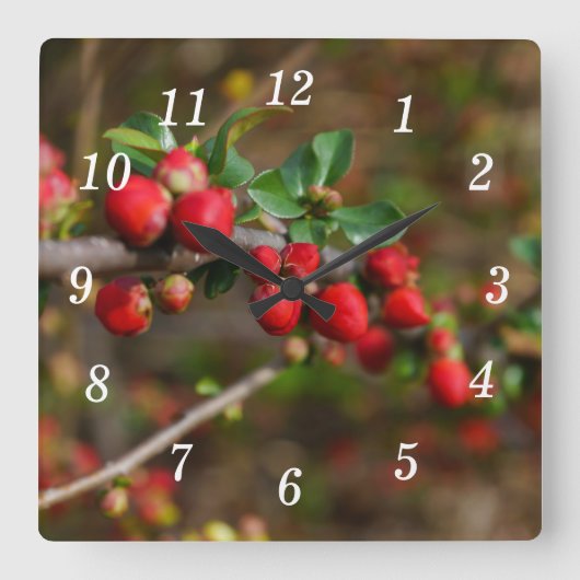 Red Spring Bug Wall Clock Quadratische Wanduhr (Vorderseite)