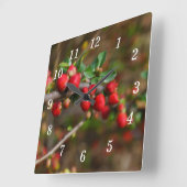 Red Spring Bug Wall Clock Quadratische Wanduhr (Winkel)