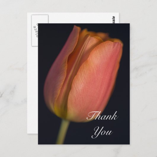 Red Spring Tulip Vielen Dank Postcard Postkarte (Vorne/Hinten)