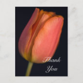 Red Spring Tulip Vielen Dank Postcard Postkarte (Vorderseite)