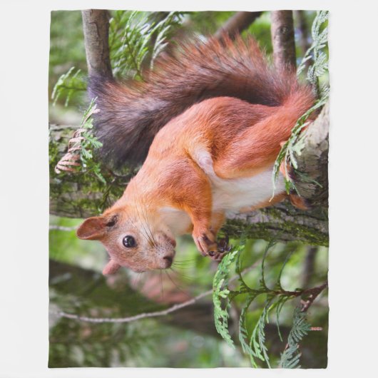 RED SQUIRREL 2 FLEECEDECKE (Vorderseite)
