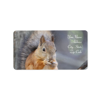 Red Squirrel Address Labels Adressaufkleber