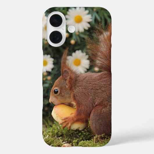 Red Squirrel and Daisies Cute Photo Case-Mate iPhone Hülle (Rückseite)