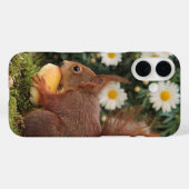 Red Squirrel and Daisies Cute Photo Case-Mate iPhone Hülle (Rückseite (Horizontal))