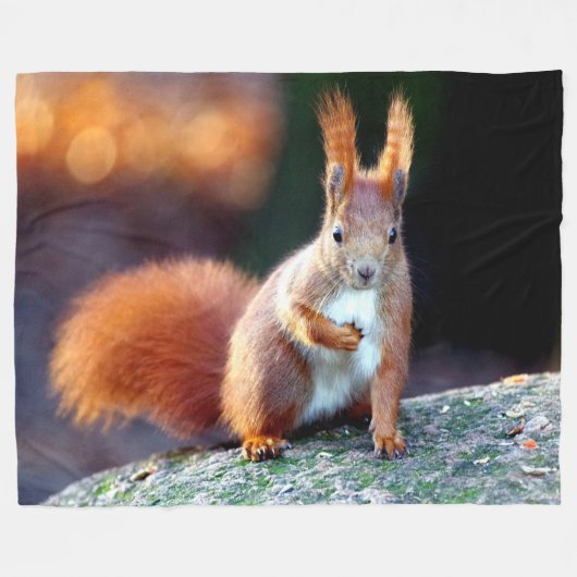 RED SQUIRREL FLEECEDECKE (Vorderseite (Horizontal))